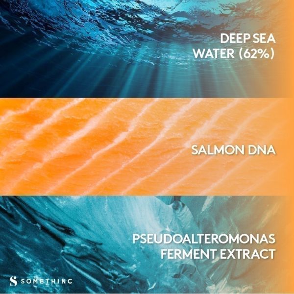 SOMETHINC Salmon DNA + Marine Collagen Elixir - Serum Awet Muda - Image 6