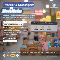 dropship3